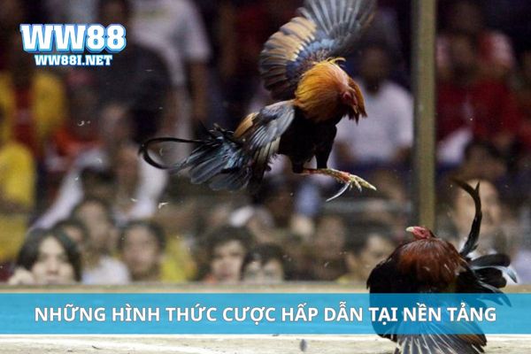 Những hình thức cược hấp dẫn tại nền tảng