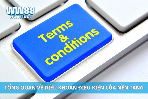 Tổng quan về điều khoản điều kiện của nền tảng