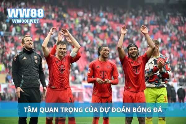 Tầm quan trọng của dự đoán bóng đá