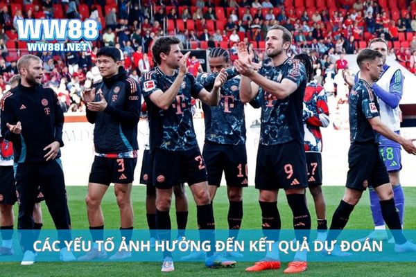 Các yếu tố ảnh hưởng đến kết quả dự đoán