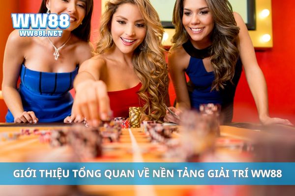 Giới thiệu tổng quan về nền tảng giải trí trực tuyến