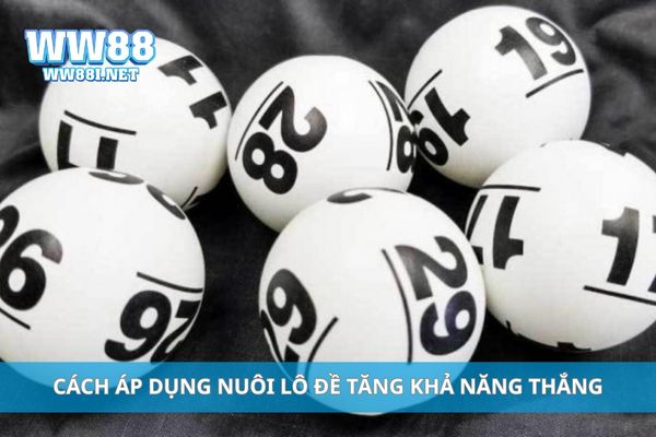 Cách áp dụng nuôi lô đề tăng khả năng thắng