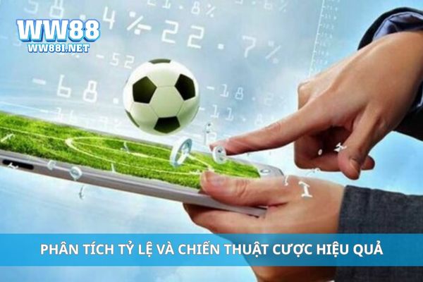 Phân tích tỷ lệ và chiến thuật cược hiệu quả