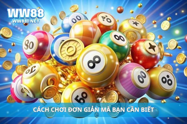 Cách chơi đơn giản mà bạn cần biết
